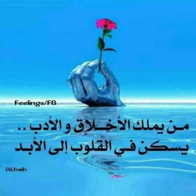 #صورة_ملف_شخصي_جديدة