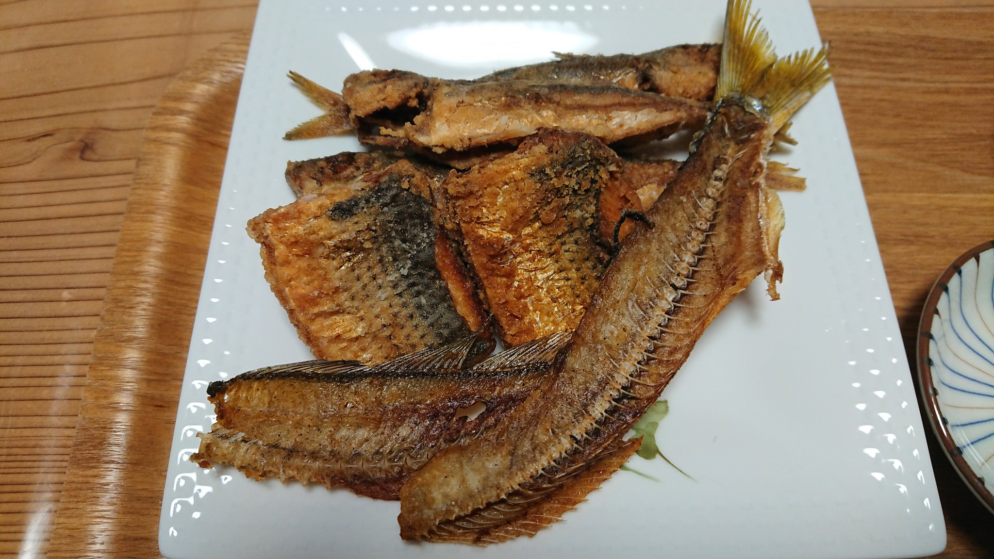 なべちゃま コノシロを唐揚げにしてみた 小骨が気になる方もいるだろうが 私は美味しいと思った コノシロは持って帰らないという方多いが 私は酢漬けも好きなので釣れたら釣れただけ持って帰ります 本牧 大黒 磯子 ふれーゆ イシモチ タコ