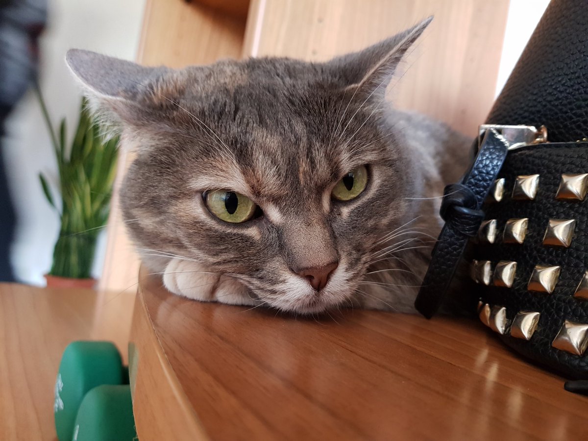 Drawnbymoonchild tweet media