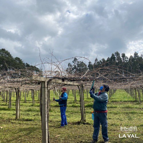Bodegas La Val tweet media