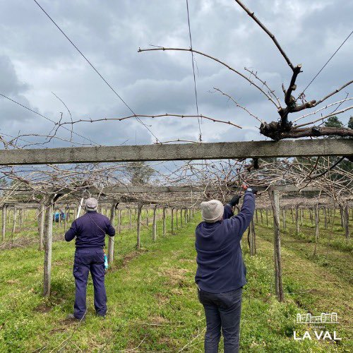 Bodegas La Val tweet media