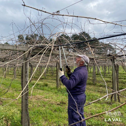 Bodegas La Val tweet media