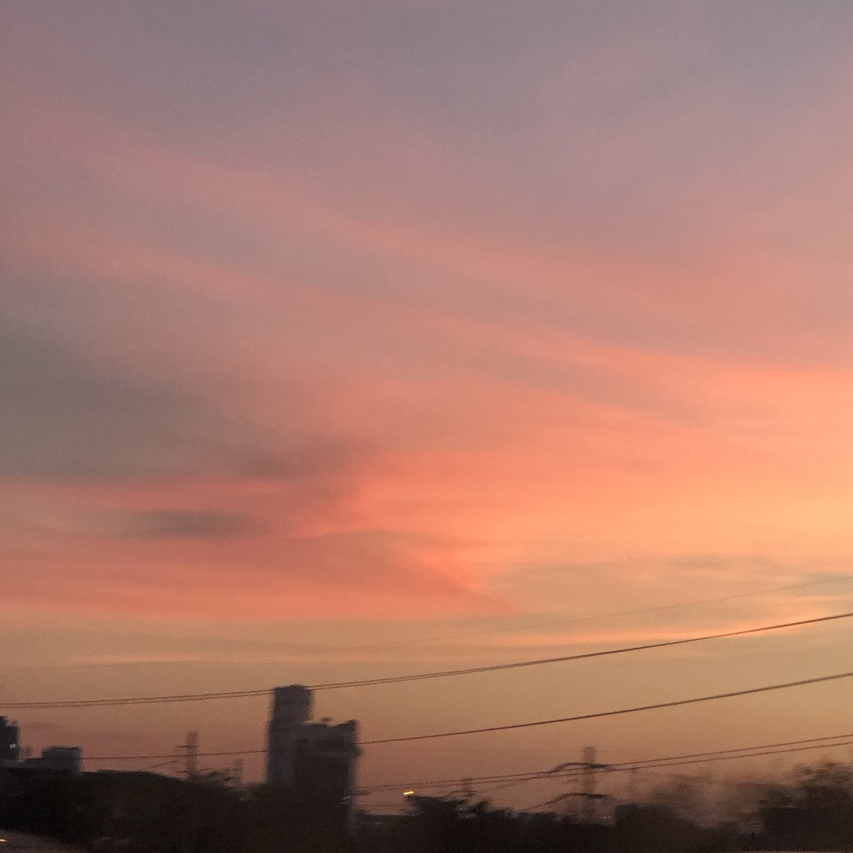 기 tweet media