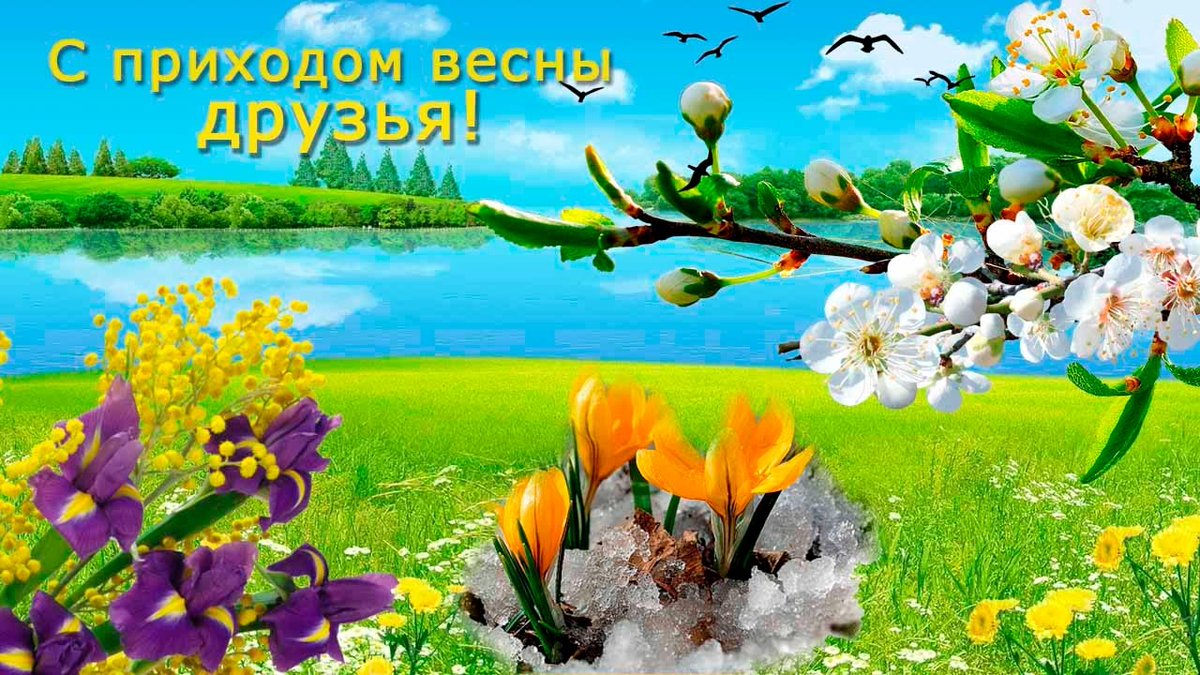 g1986i's tweet photo. @dsgavrilenko @v1985p Поздравляю с Днём рождения - началом жизни и весны. Творческих успехов вам!
https://t.co/wzVjRyY7WH
https://t.co/QWkJfktqOz
https://t.co/5chkCcTiaH
https://t.co/So32Amee5J
https://t.co/Ar5JrxxbrN https://t.co/EgxHksEkuW