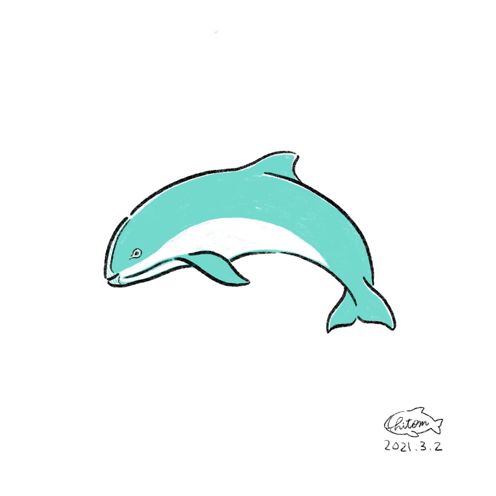 コガシラネズミイルカ Twitter Search Twitter