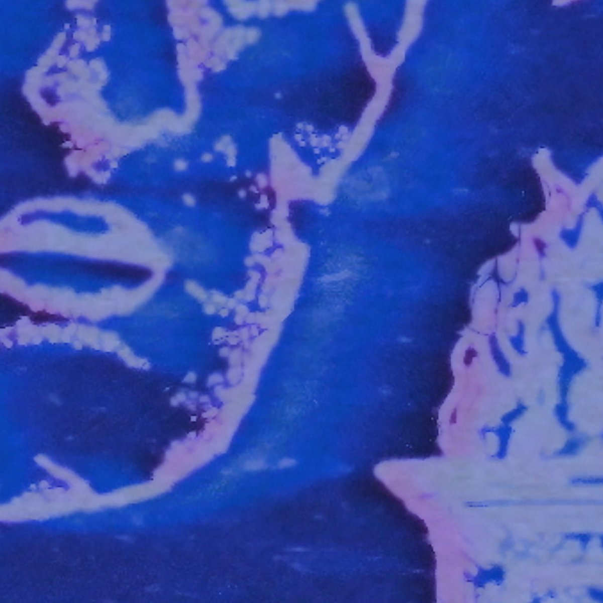 Callous Records tweet media