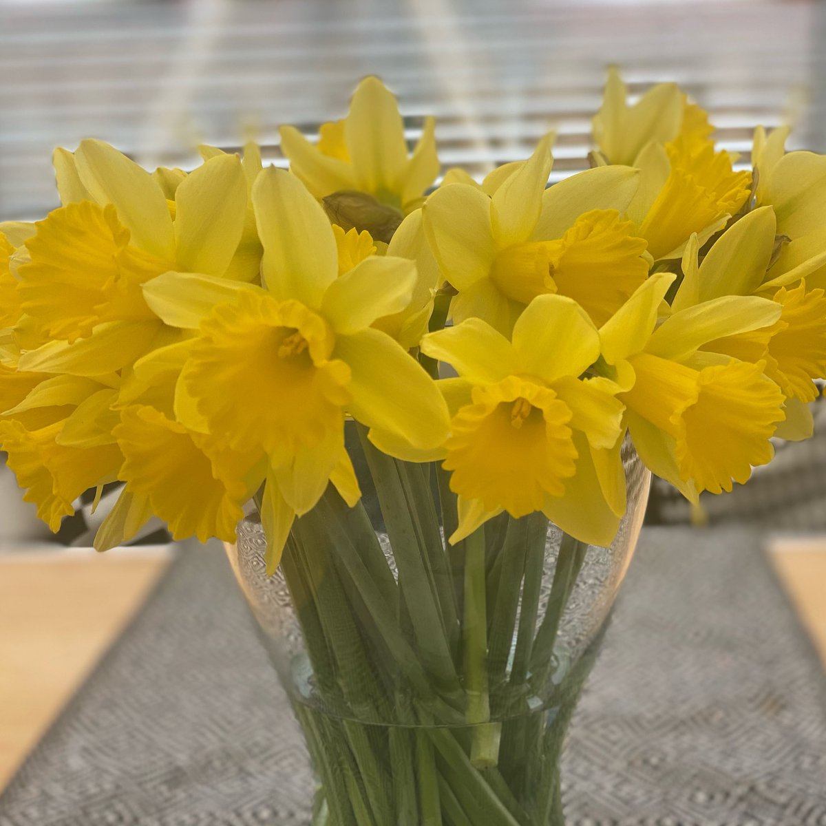 Spring vibes.... Love a daffodil! Getting me through a Tuesday!