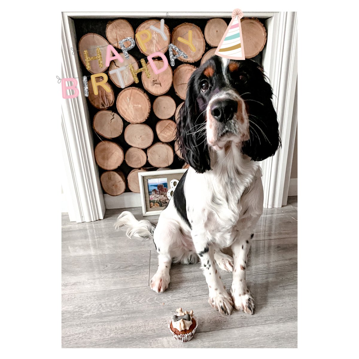 The Advertiser tweet media