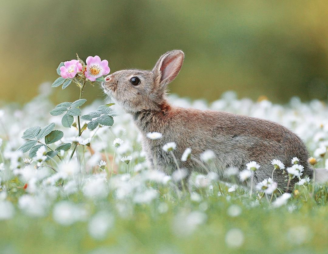 JeanetteEliz's tweet photo. Happy Tuesday Everyone. 😊 Have a beautiful day. Stay Safe!! 💞🌺💕 https://t.co/awmIFbD1pO