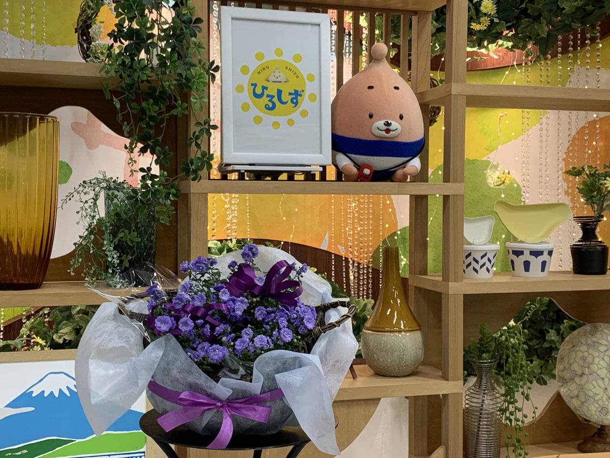 静岡デザイン専門学校 フラワーデザイン科 今週のひるしずアレンジメントは カンパニュラ です 花言葉は 感謝 年度末のこの時期に お世話になった方への贈り物 に最適ですね Ami Yuinaが上品に仕上げてくれました シズデ Nhk ひるしず 静岡