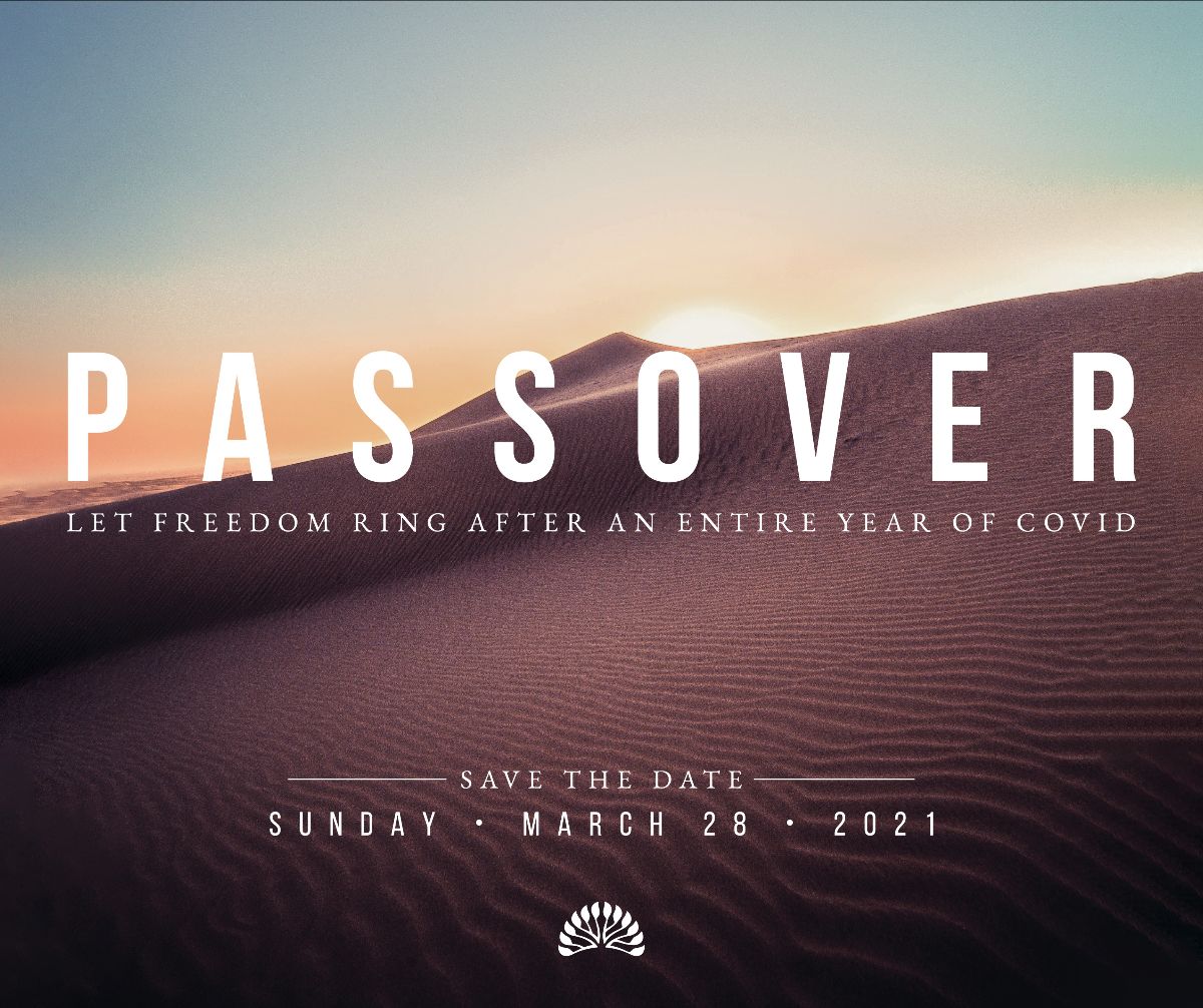 This Week at Temple - mailchi.mp/timemphis.org/…