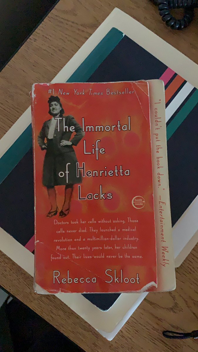 Katrina Holloway tweet media