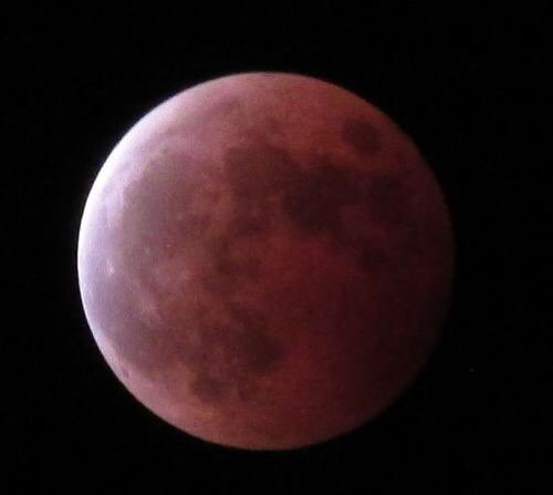 赤い月 最新情報まとめ みんなの評価 レビューが見れる ナウティスモーション 2ページ目