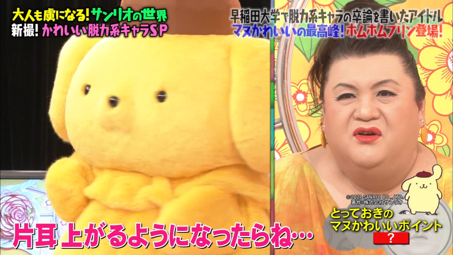 マツコの知らない世界 大人も虜になるサンリオの世界で ポムポムプリンの耳事情にマツコさん驚愕 話題の画像プラス
