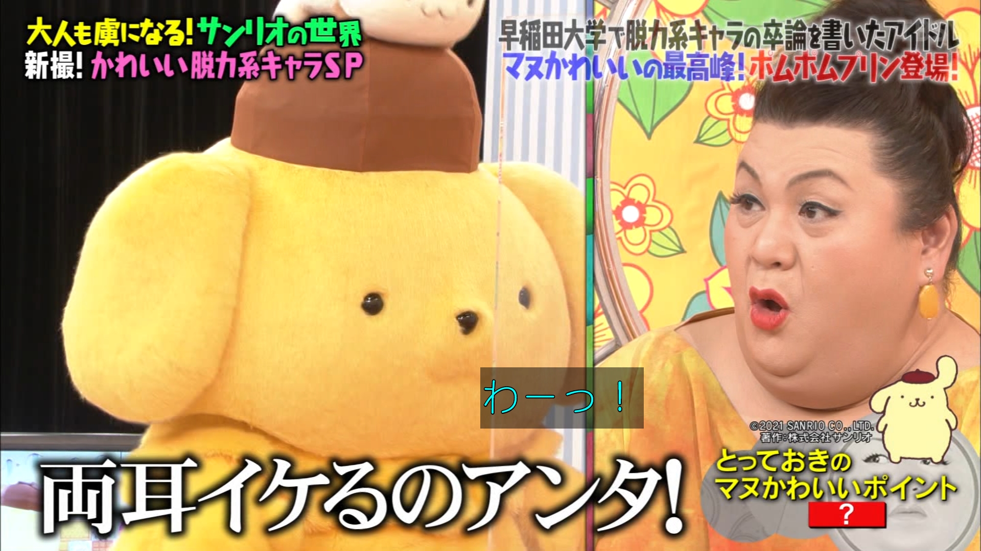 マツコの知らない世界 大人も虜になるサンリオの世界で ポムポムプリンの耳事情にマツコさん驚愕 話題の画像プラス マツコの知らない世界 大人も虜になるサンリオの世界で ポムポムプリンの耳事情にマツコさん驚愕 話題の画像プラス