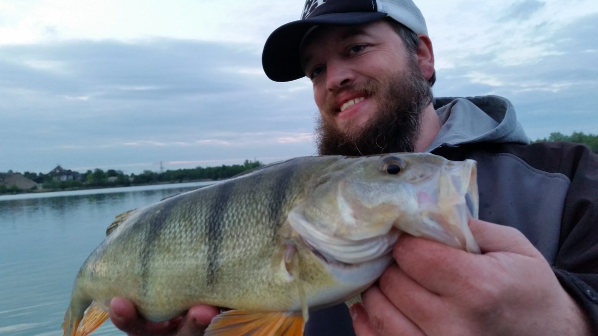 Da fragt mich Twitter gerade was es neues gibt. Nun nicht wirklich viel, eventuell Plane ich am Wochenende mal wieder ans Wasser zu gehen und bei euch Angelcommunity ?

#barschjunkie #angeln #fishing #youtube #twitch #blog #fishinglife #angelsports