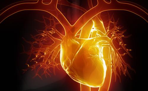 Explore the comparison of contemporary drug-eluting coronary stents – Is any stent better than the others?William Parker, Javaid Iqbal; Heart International. 2020;14(1):34-42; Find out more here: doi.org/10.17925/HI.20…