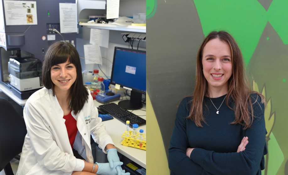 _BIST's tweet photo. The new “la Caixa” Foundation – BIST Chemical Biology Programme launches a hub in Barcelona for the design of new drugs https://t.co/6MUhtJpa07 https://t.co/I6HthJjscE