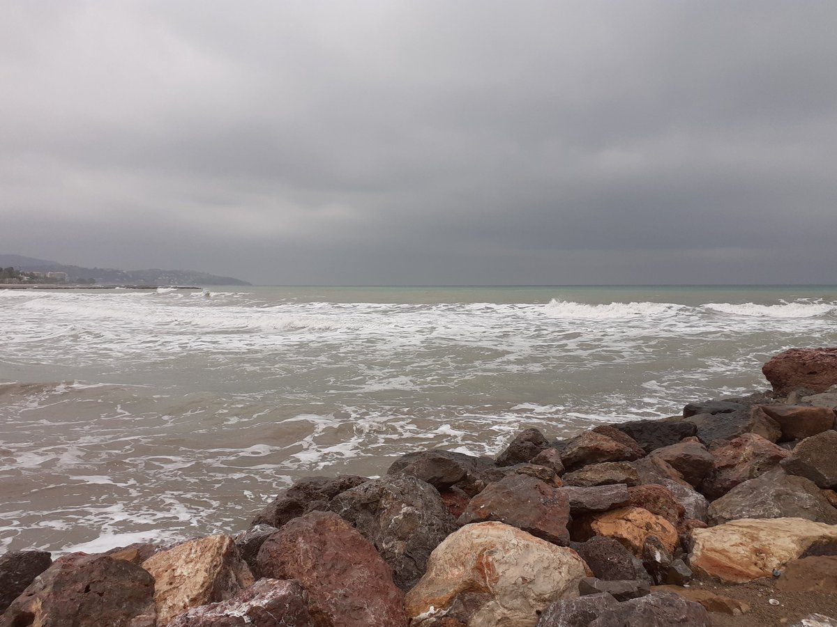 Patología Dual Asepadual tweet media