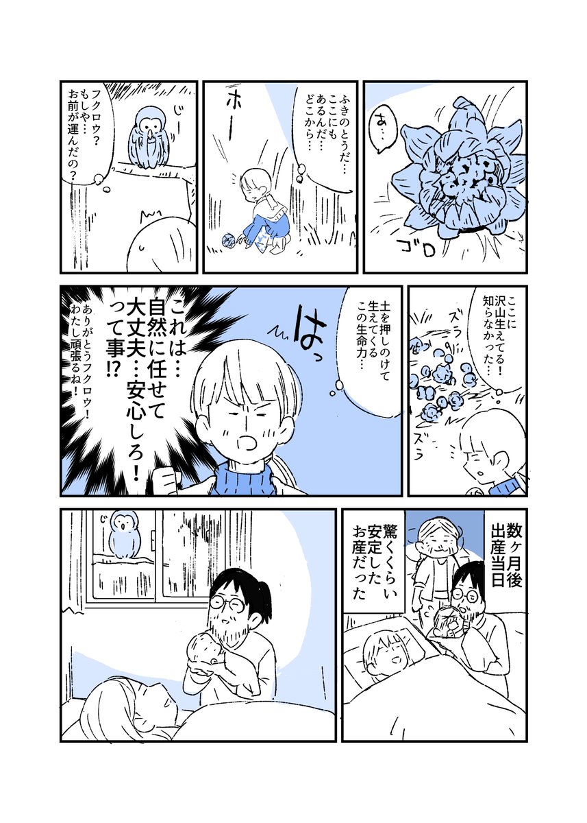 フクロウは何かの使いなのかもしれない話
#人から聞いた不思議な話を漫画にしてみた 