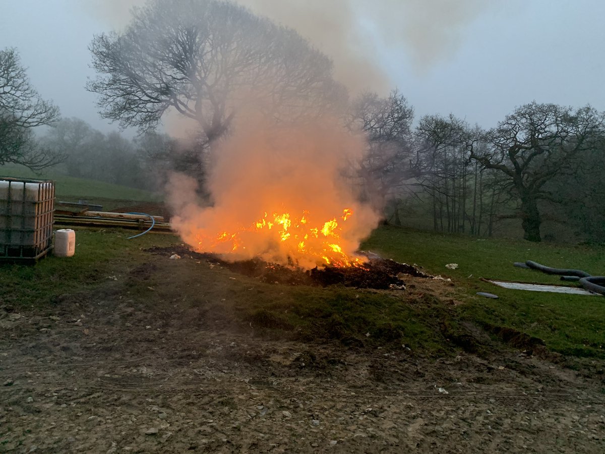 jimboboro7777's tweet image. Got a start on 2021 wool harvest yesterday. 330 swale tup lambs fattened on slats, sheared to reduce slat blockage and help lambs thrive... not for their wool! Sadly the wool isn’t even worth packing. #woolharvest #whatawaste #sheepshearing #sheep #farm365