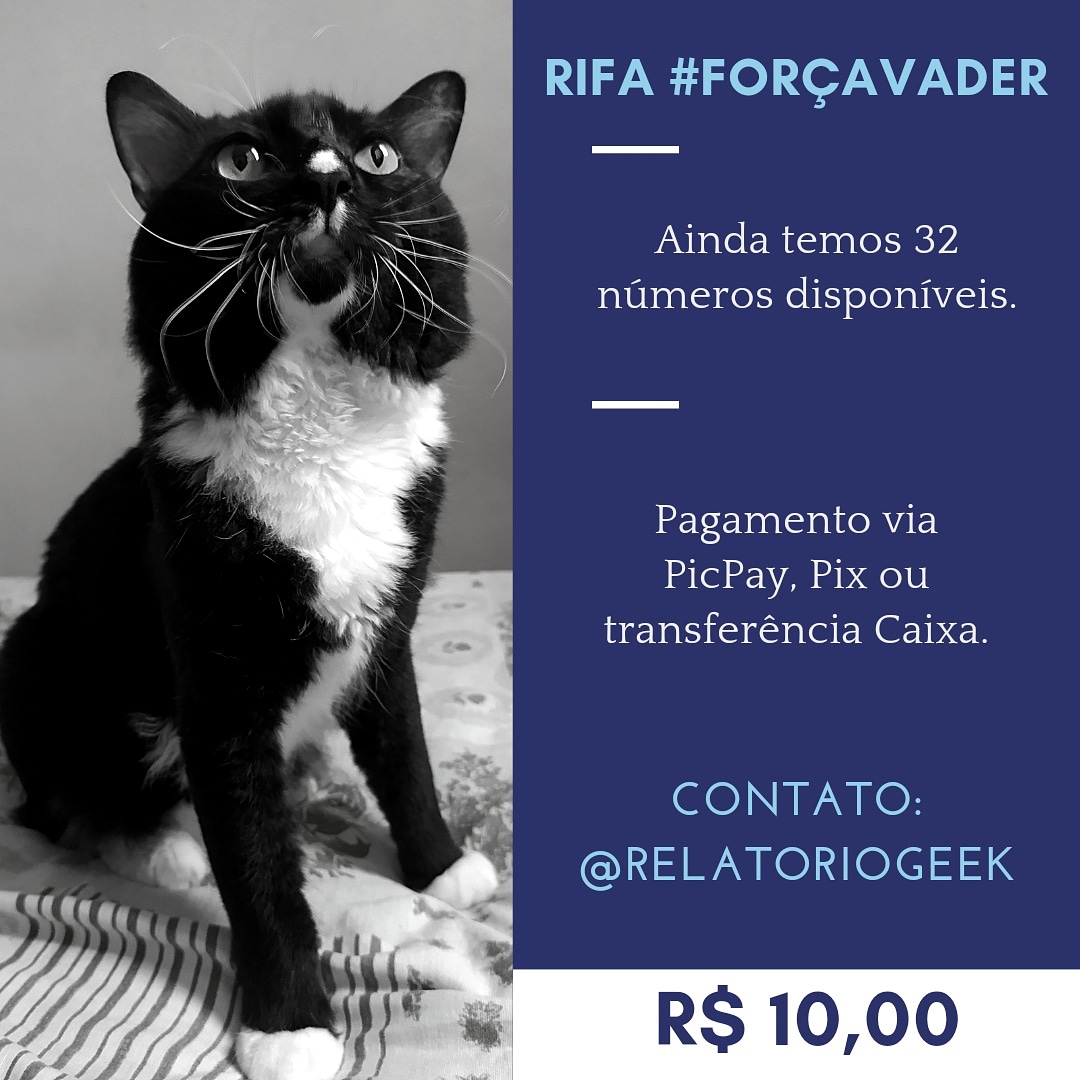 charlitto_ogami's tweet photo. Para quem ainda não viu, estou realizando uma rifa valendo alguns livros da Darkside Books para custear um tratamento do meu gatinho, Vader. São apenas 10 reais por número. Faltam 32 números para fechar. Quem quiser participar ou ajudar, só me chamar no privado! https://t.co/KVdgbugqCX