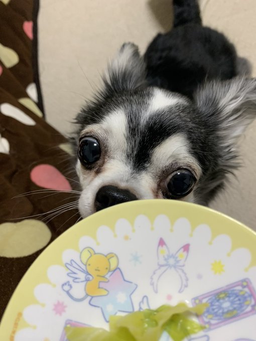 老 高画質 のtwitterイラスト検索結果 古い順