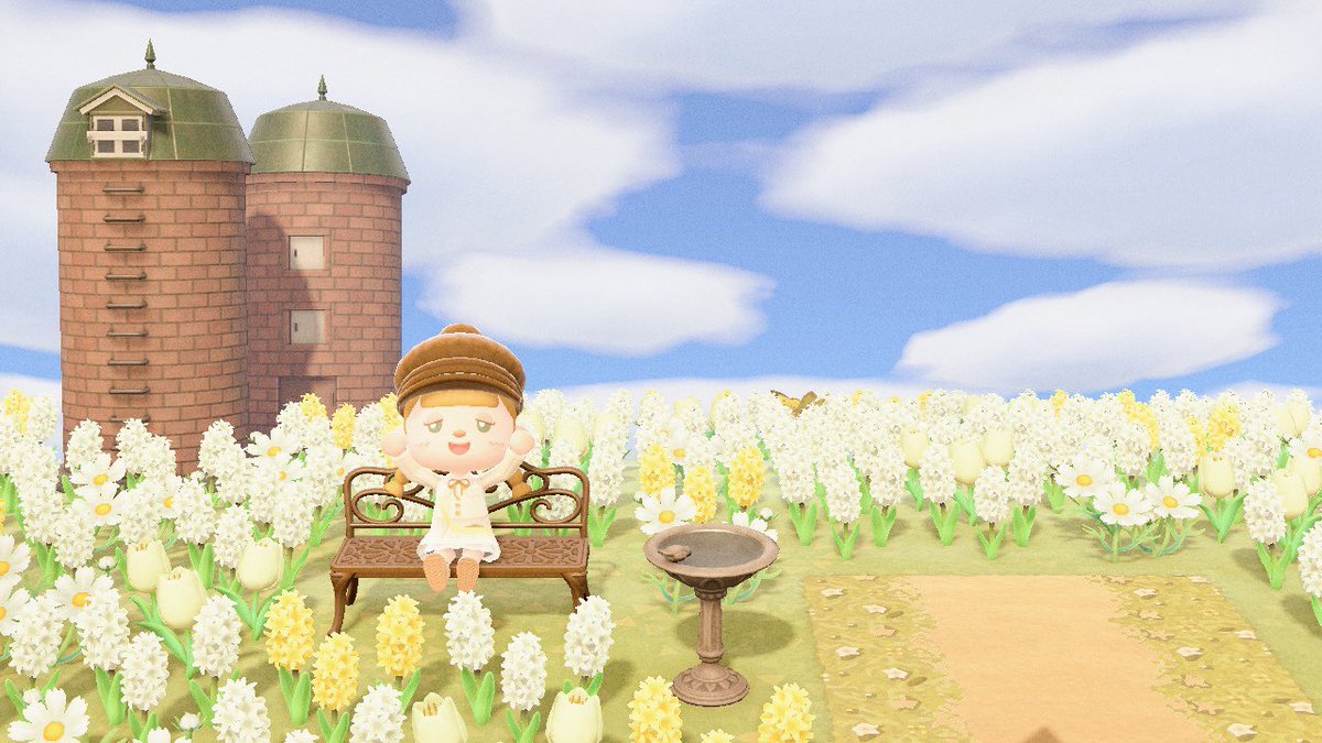 手前はお花畑𓂃𖤥𖥧𖥣⋆*