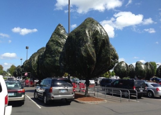 Puta madre, salí a la calle y no cargan las texturas