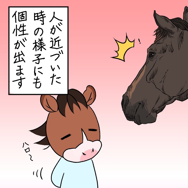 すごく大人しい馬のことを置物って言うのはわりとあるあるなんじゃないかと思います。
4枚目の馬の顔は意図せずお婆ちゃんみたいな顔になりました🤣
#馬 #イラスト #馬あるある 