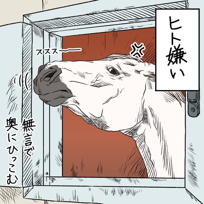 馬の顔のtwitterイラスト検索結果 馬の顔のtwitterイラスト検索結果