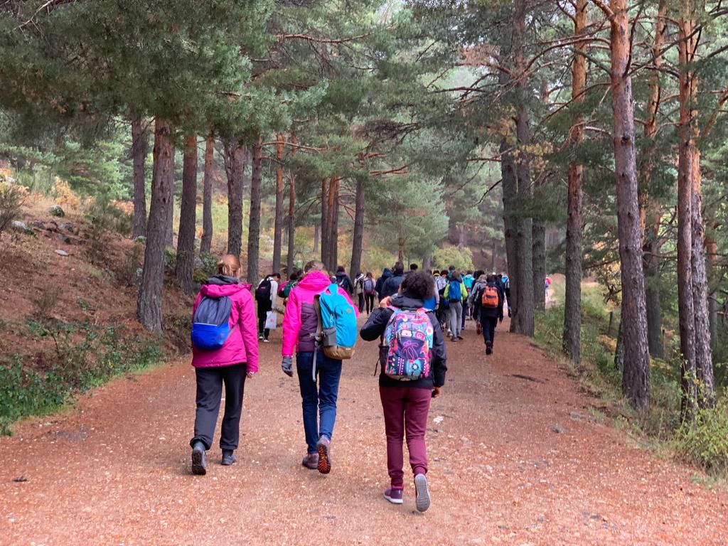 EscuelaIdeo's tweet photo. El curso 2021/22 comenzamos con diferentes propuestas de ciclos formativos relacionados con los pilares de nuestro proyecto educativo (Actividad Física y Deporte con #TSEAS y #TECO) (Informática y Comunicaciones con #TSDAM/ #TSDAW) Toda la información en: https://t.co/2yOKtJiswg https://t.co/Iq9IvGhUoY