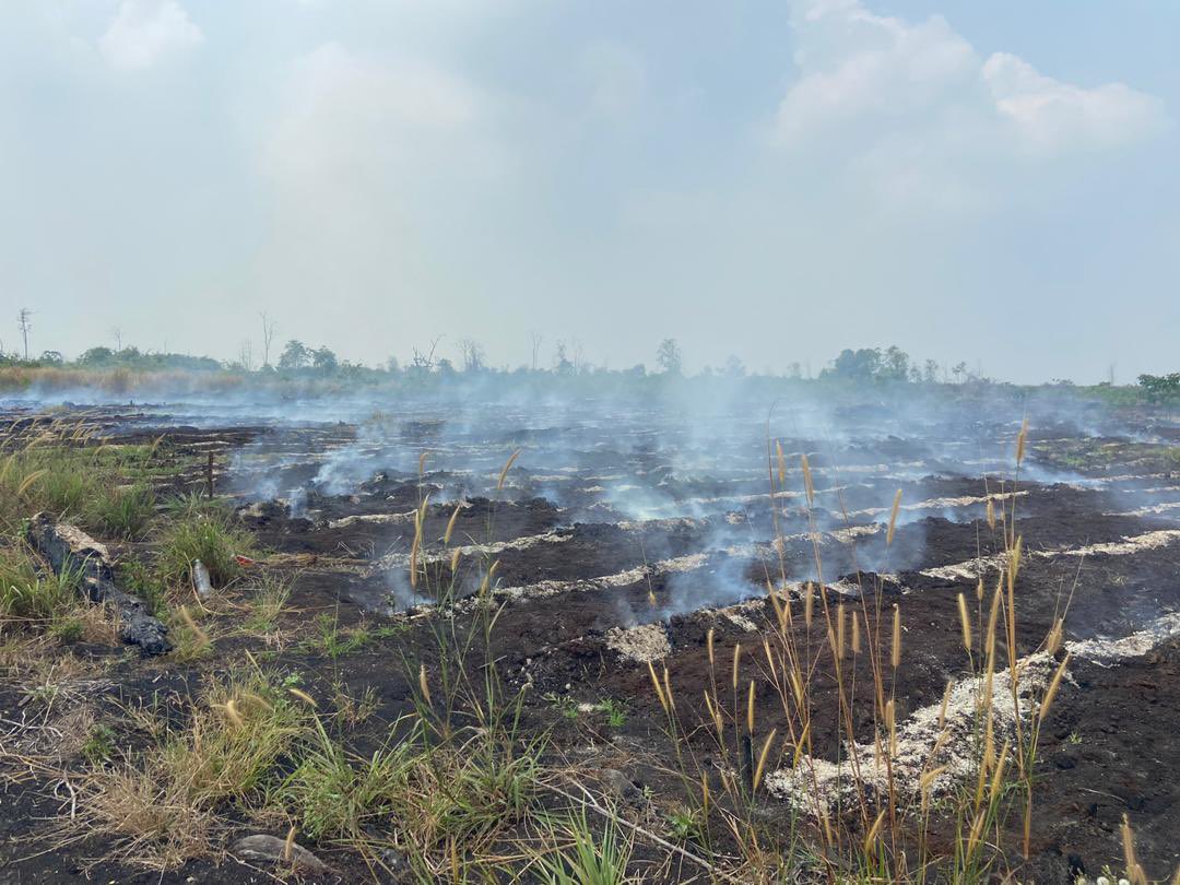 pyro_ks's tweet photo. Semua... bantu saya untuk sebarkan awareness ini, tolong sangat2 jgn buat pembakaran secara terbuka di musim panas ini,pleasee saya dengan team terpksa tido dihutan utk padam api di hutan simpan kuala langat ni disebabkan PEMBAKARAN SECARA TERBUKA . 🙏🏻🙏🏻🙏🏻
#sayamerayu https://t.co/9PS0Ds7iBM