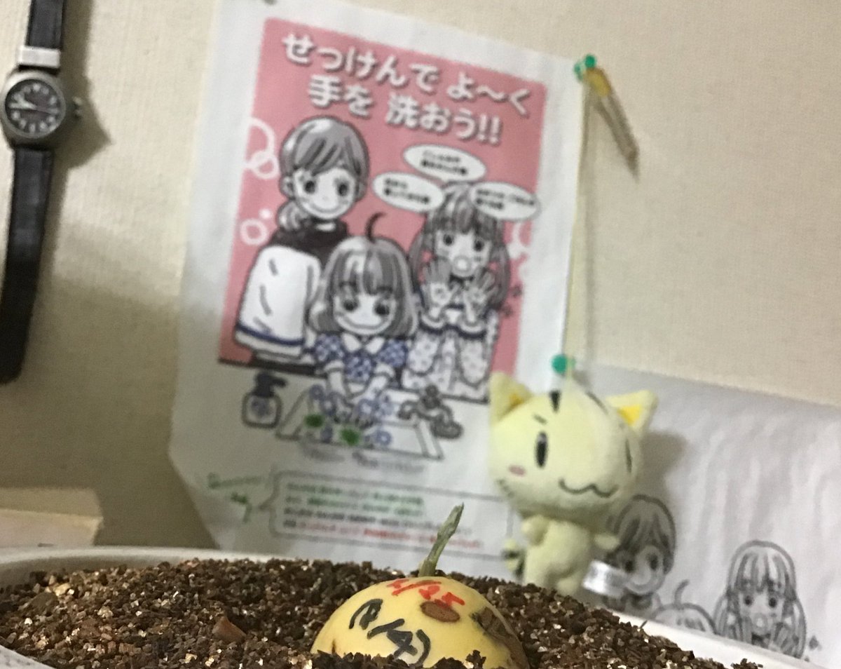Fairy_mi_so_n's tweet photo. 今日みそのさんが作る味噌汁の具は、🥑よく熟れた食べごろの🥑アボカド🥑です！
#今日の味噌汁の具 #shindanmaker
https://t.co/ATEH0yg1i6

アボガド🥑11号αと🥑11号β
AVOCADO https://t.co/eNGCqUzRh4
