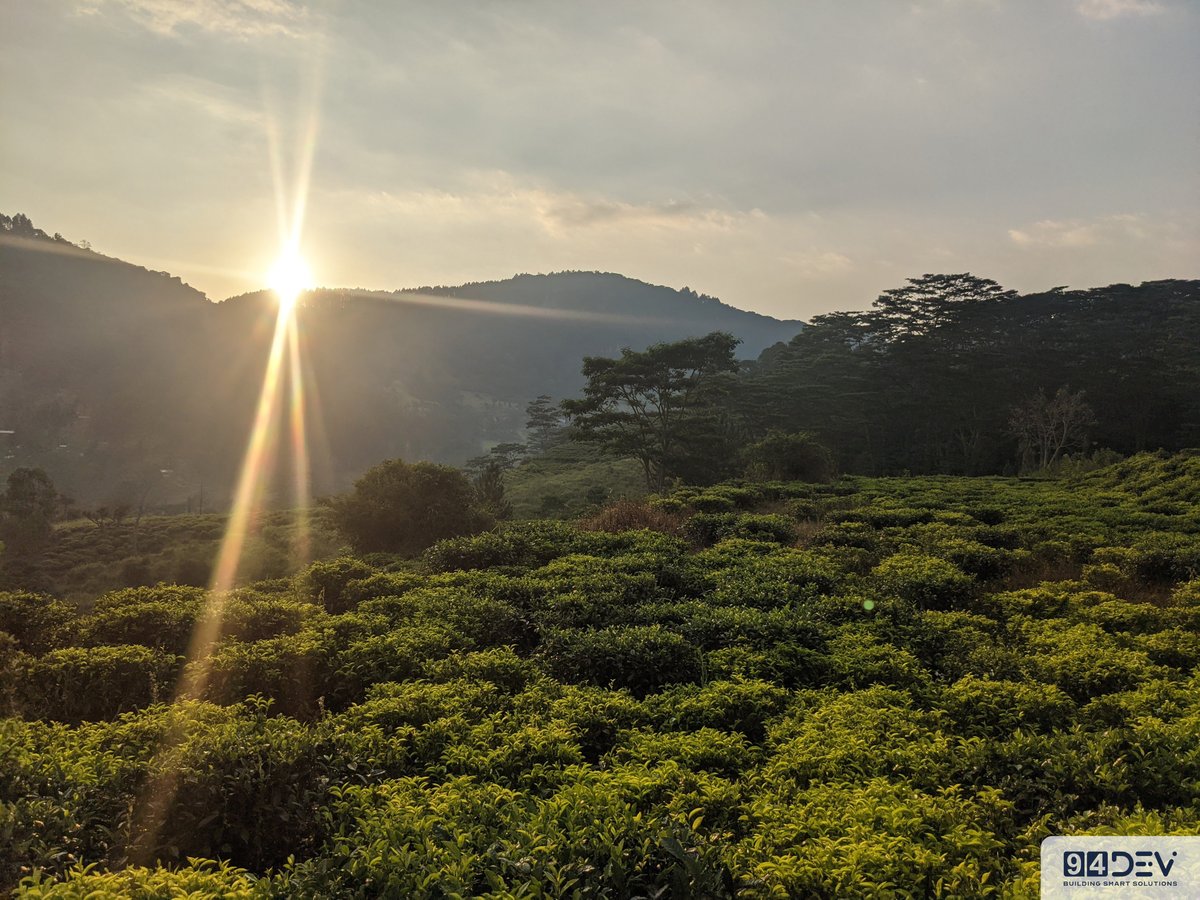 94dev1's tweet image. We have different activities to keep our employees enlivened and one of them is outing , this time the 94DevFam decided to land in loolkadura
.
.
#94dev #94DEV #94DEVFAM #travel #travelgram