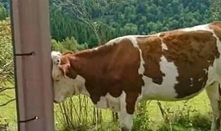 Outro día en pandemia