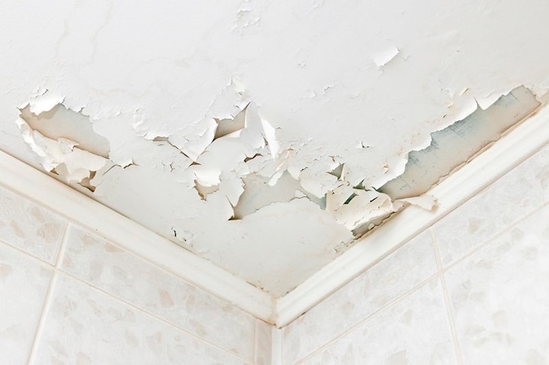 Humexpert's tweet image. Los defectos en la construcción del edificio acostumbran a ser una causa común que produce #humedades. 

¿Sabes cómo se debe de tratar estas humedades? ¡Descúbrelo en el último artículo de nuestro blog 👉 bit.ly/3q6lECU!