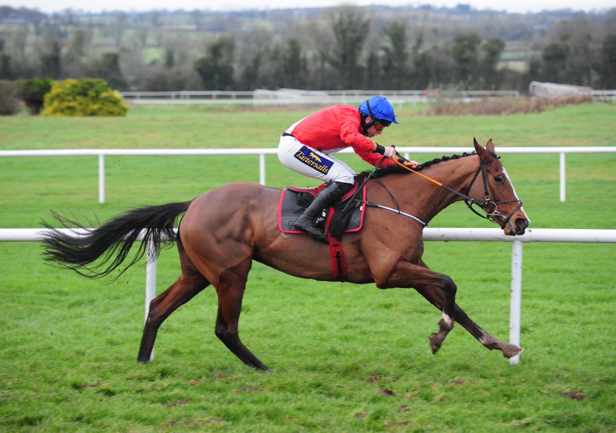 AtTheRaces's tweet photo. 🏇 Envoi Allen to Henry de Bromhead
🏇 Sir Gerhard to Willie Mullins
🏇 Quilixios to Henry de Bromhead https://t.co/IfBS3mE3Rl