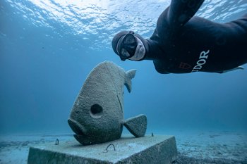 Marseille set to get not one but two major new underwater attractions. marvellous-provence.com/news#underwater