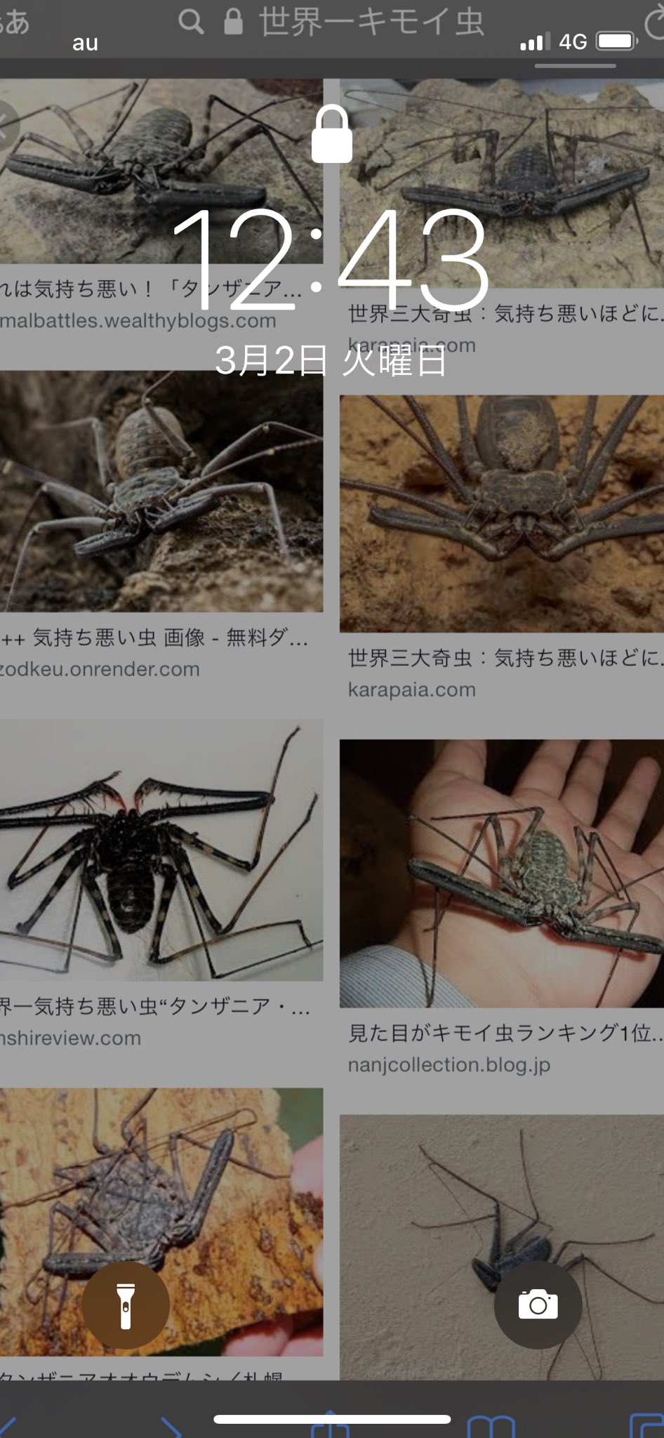 木村 これを壁紙にしてる俺が世界一キモイのでは 木村 これを壁紙にしてる俺が世界一キモイのでは