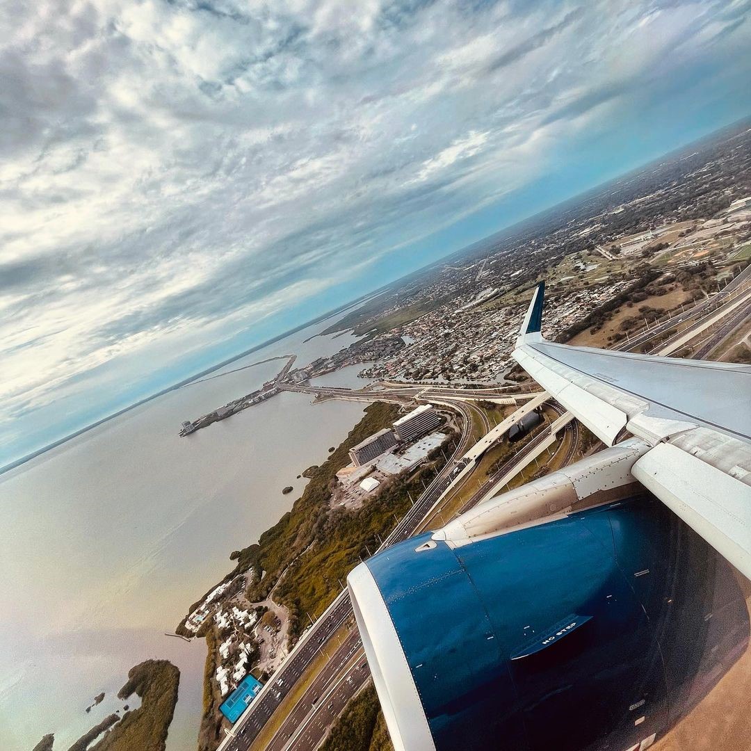 Tampa International Airport ✈️ tweet media