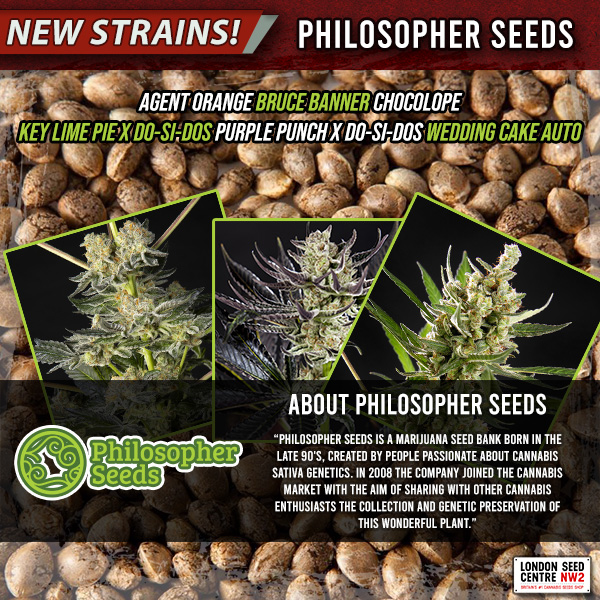 SeedCentre's tweet photo. New strains from #PhilosopherSeeds!
https://t.co/vp8NVu7q73
#londonseedcentre #cannabisseeds #cannabis #weedstagram https://t.co/BjFsISjAzh