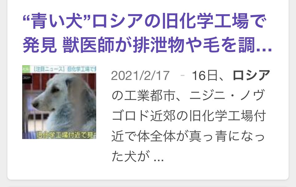ট ইট র Hideki Tadokoro 世界各国は知ってるんぜ新型コロナで人殺しをしているのはjapanのフジテレビだとwwインド 中国 ロシア アメリカ ブルドック狩り 青い犬 だとよ 何故かってロシアが青い犬の後に強行に北方領土返還しないと言ったろ