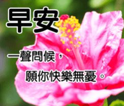 不主動說早安午安晚安challenge Twitter Search Twitter