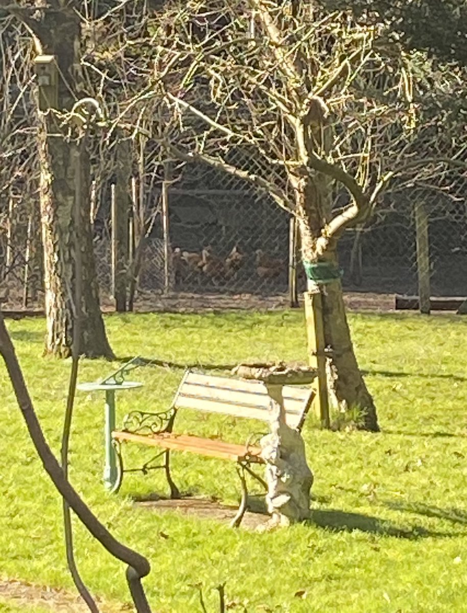 Hannah Marchbank tweet media