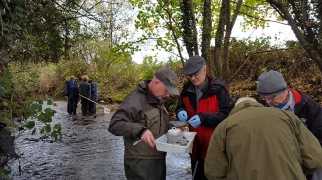 EPACatchments's tweet photo. The Local Authority Waters Programme works across Ireland on:

Empowering &amp; supporting communities

Local Catchment Assessments

Coordination and working with others to achieve better water quality 

You can read over 75 stories about their work here:
https://t.co/o9IWW5aX2F https://t.co/TJaLSSKgep