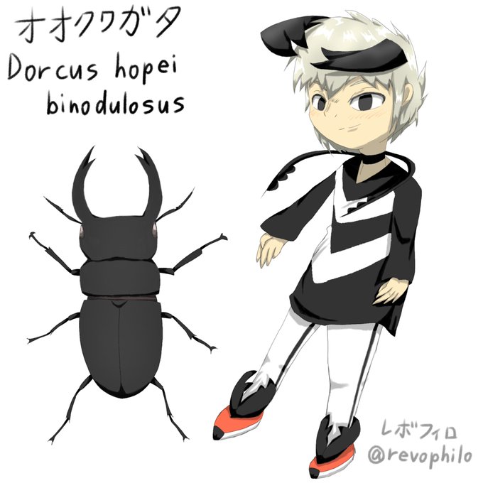 昆虫 高画質 のtwitterイラスト検索結果 古い順 昆虫 高画質 のtwitterイラスト検索結果 古い順
