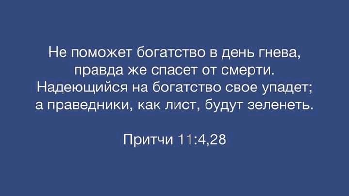 Саша (@7petdbhmov2ff4d) on Twitter photo 