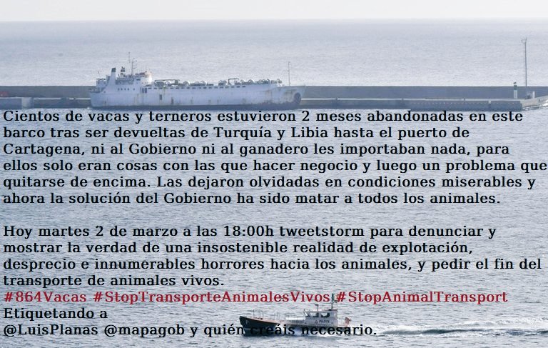 Montsssse1's tweet photo. 🚨Avui, dimarts 18hTweetstorm per denunciar el centenar de vedells abandonats a la seva sort durant dos mesos i posterior execució a #Cartagena sense opció a res més. Transport que va sortir del port de #Tarragona Reclamar el no transport d'animals vius a altres països. #NoTTIP https://t.co/0E41IiD9zv