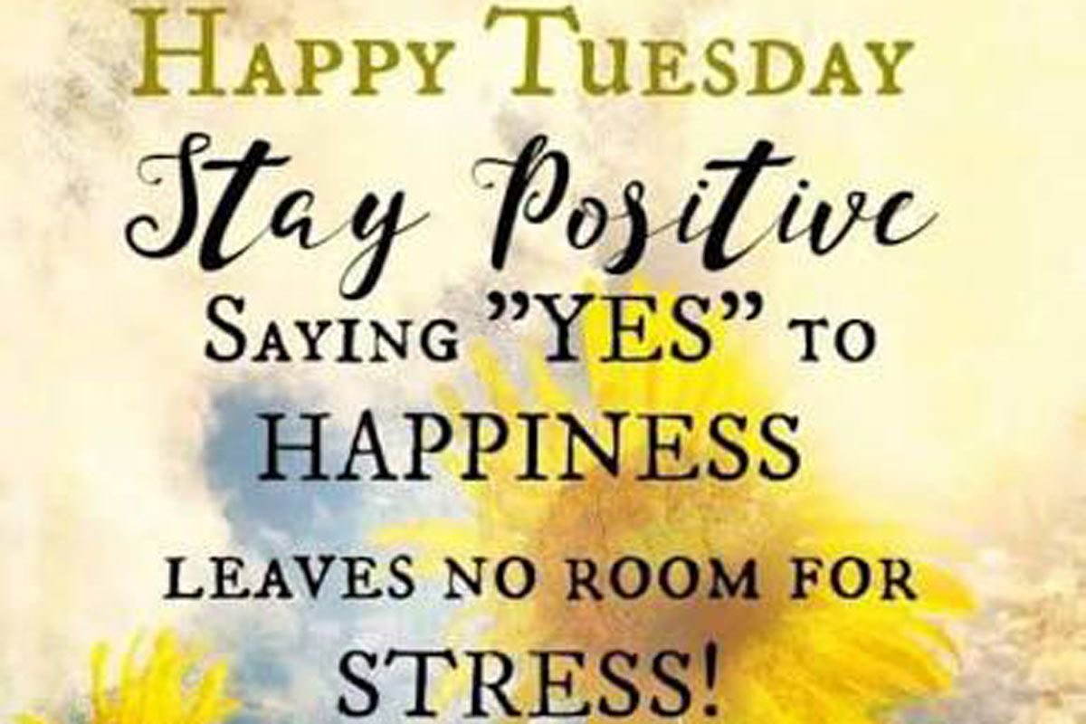 MLMJ1671's tweet photo. Have a wonderful Tuesday 💕💕 https://t.co/90XFNkw9L1